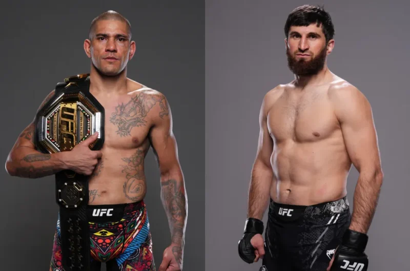 Link xem trực tiếp UFC 313