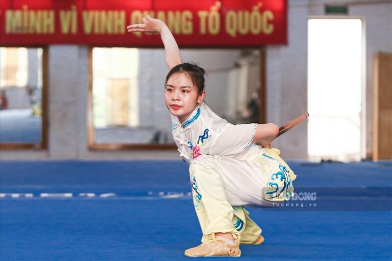 Tổng quan về đội tuyển Wushu Việt Nam