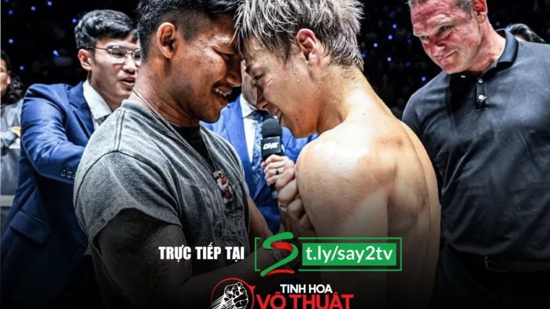 Những trận đấu nổi bật